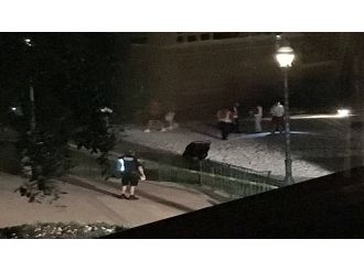 Timsah göl kenarındaki çocuğu kaptı