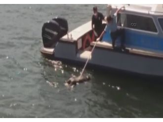 Denizde erkek cesedi bulundu