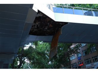 Kimse bu görüntüye aldırış etmedi