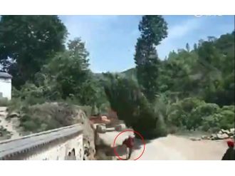 Ağacın intikamı !