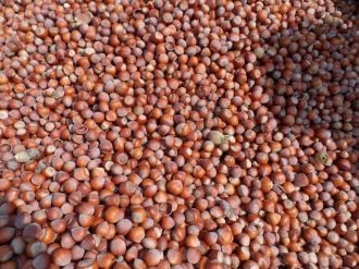 Destek ödemeleri yarın hesaplarda