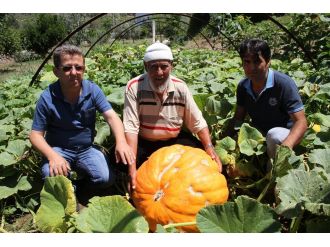 Pişir pişir bitmez: Tam 200 kilo