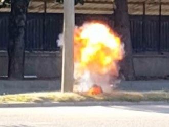 Pelüş oyuncak polisi alarma geçirdi