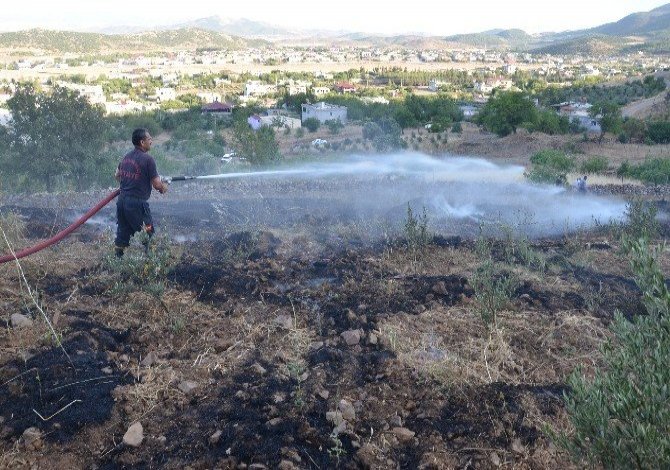 Türkoğlu’nda Zeytinlik Yangını