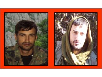 Başına 600 bin lira konulan terörist öldürüldü