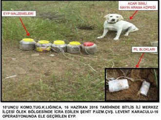 Bitlis’te 75 kilo patlayıcı ele geçirildi