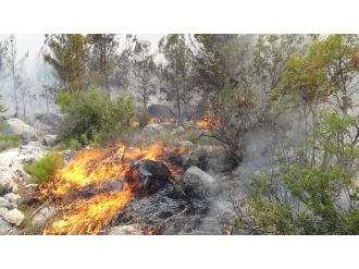 Silifke’de 100 dönüm orman yandı