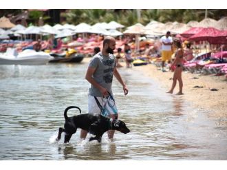 Bodrum 45 dereceyi gördü