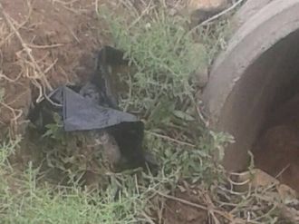 Vatandaşın ihbarı bombalı eylemi önledi