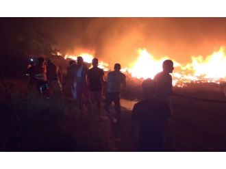 Bodrum’da yangın 15 saattir sürüyor