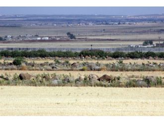 Sınırda yine aynı yalan