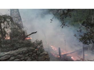 Bungalov evlerin bulunduğu koyda yangın çıktı