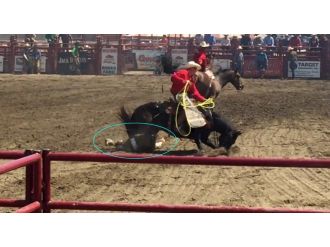 Talihsiz rodeocu hastanelik oldu