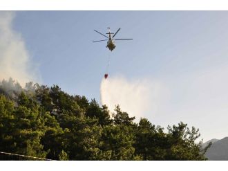 Manavgat’ta orman yangını