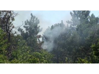 İstanbul’da orman yangını