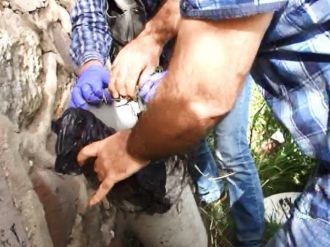 PKK’nın Batı planı Nusaybin’de ortaya çıkarıldı