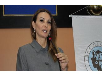 Azeri vekil Paşaveya’dan AKPM’de Türkiye konuşması