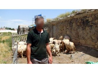 Cinsel ilişki teklif edip, 25 bin TL’sini aldılar