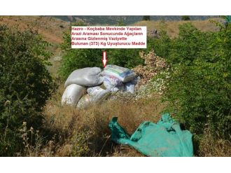Ağaçların arasında 373 kilo esrar bulundu