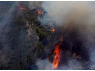 Kumluca’da orman yangını
