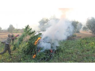 Asker tamamını imha etti!