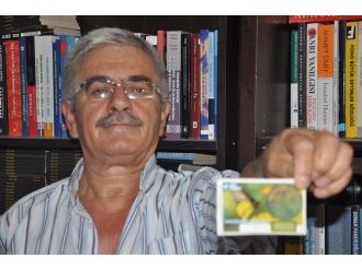 Kazı kazan dolandırıcılığına soruşturma