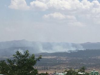 Zorda kalan teröristler ormanlık alanı ateşe verdi