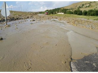 Muş’ta sel can aldı