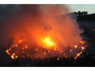 Saros’un akciğerlerinde yangın