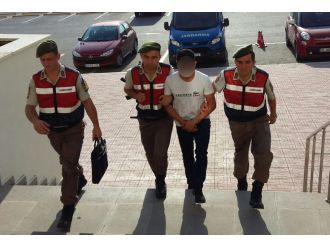 Nusaybin’de hendek kazdı, Bodrum’da yakalandı