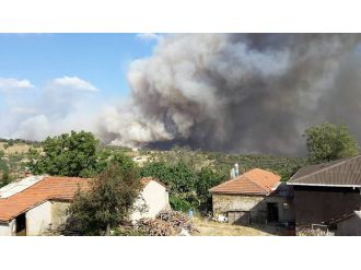 Edirne’de yangın yayılıyor