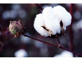 Talep artıyor, üretim düşüyor