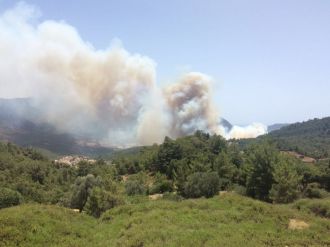 Şimdi de turizm noktası Adrasan alevlere teslim