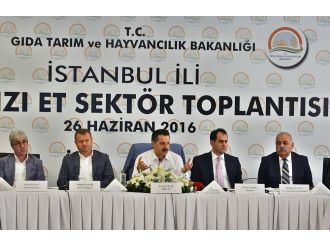 Bakan Çelik’ten ’kırmızı et’ açıklaması