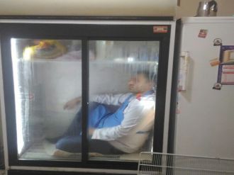 Buzdolabına girerek serinledi