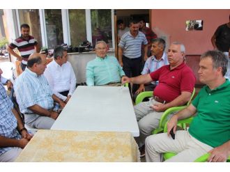 Baykal yangın bölgesinde incelemelerde bulundu