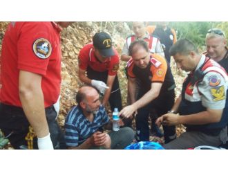 3 gün boyunca ormanda yedikleriyle hayatta kaldı