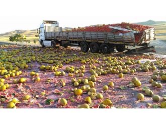 Karayolu karpuz tarlasına döndü