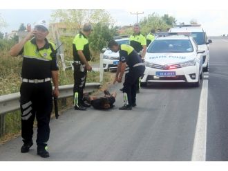 Polisten kaçan sürücü kıskıvrak yakalandı