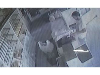 Bağış bahanesiyle sadaka kutusunu çaldı