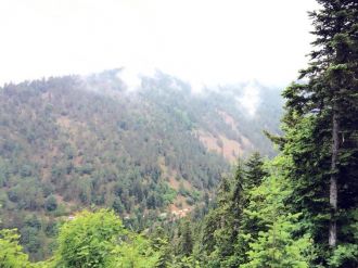 Askeri helikopter düştü: 6 şehit, 9 yaralı