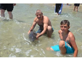 Kıyıya vuran yunusu vatandaşlar kurtardı