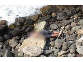 Balıkçılar buldu: Ayakları bağlı, parmak uçları kesilmiş...