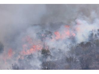 Bodrum alevlere teslim