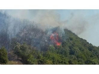 Çanakkale’de ikinci orman yangını