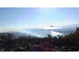 Balıkesir’de 51 hektar ormanlık alan zarar gördü