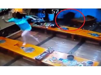 Yaban domuzu restorana daldı