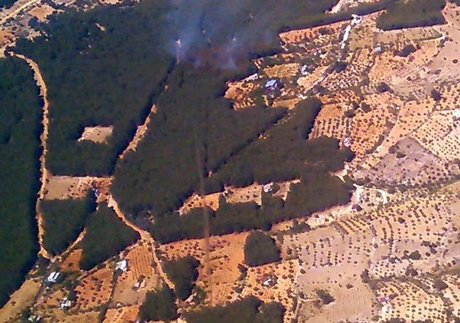 Kahramanmaraş’ta Orman Yangını