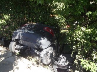 Köpeğe çarpmamak için...