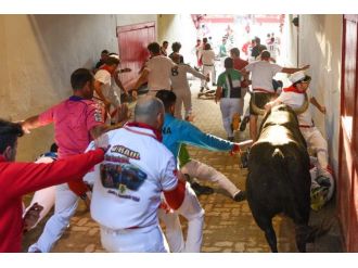 Boğanın boynuzundan inanılmaz kurtuluş